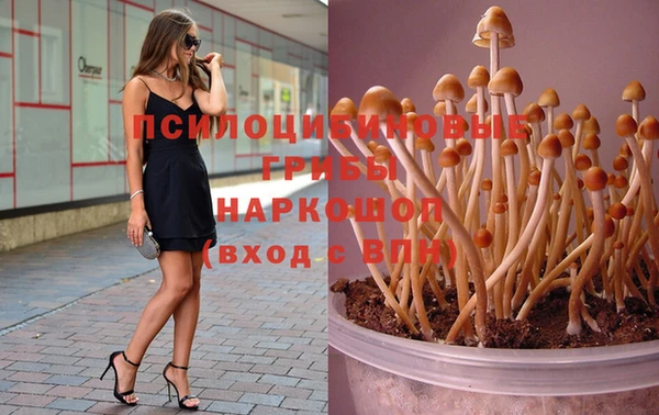 МДПВ Михайловск
