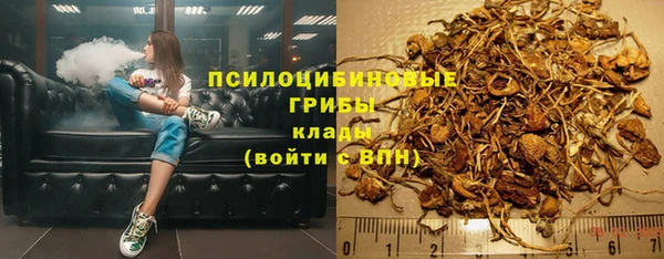 МДПВ Михайловск